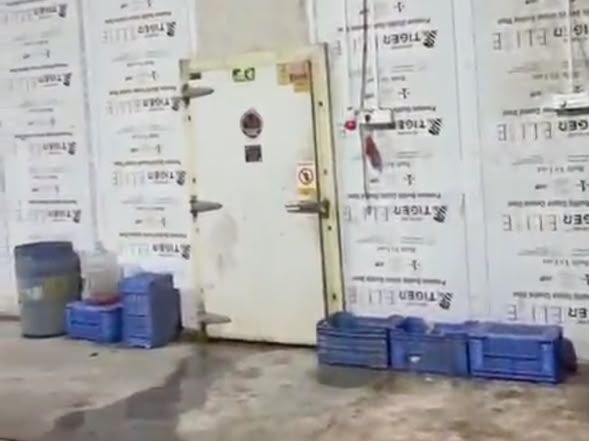 Insulated chamber doors
