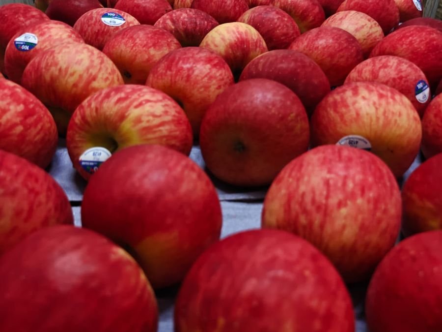 Apples
