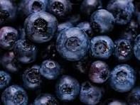 Blueberries